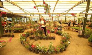 Yılın en renkli festivali 16 Mayıs’ta başlıyor!