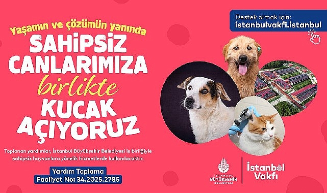 İstanbul Vakfı’ndan sahipsiz can dostlarımıza destek çağrısı