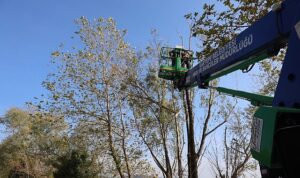 Kartepe’de Yeşil Alanlara Bakım