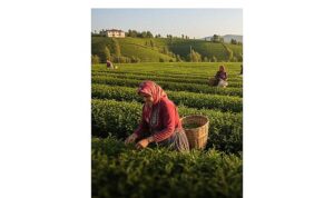 Şekerbank’tan Dünya Kadın Çiftçiler Günü’ne Özel Kampanya