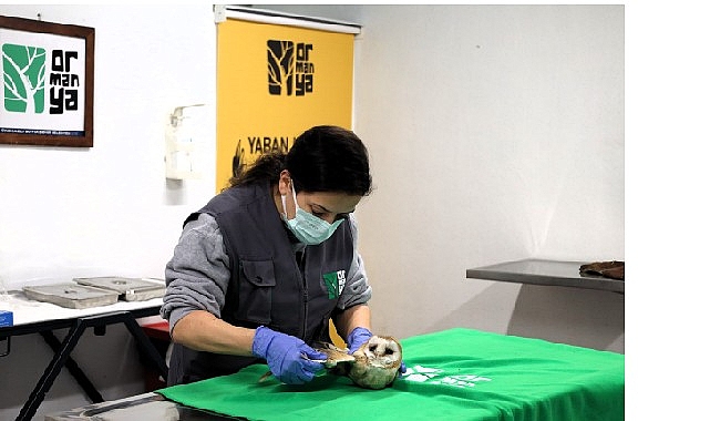 Bu merkez yaban hayvanlarına umut oluyor