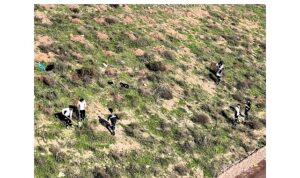 Büyükşehir’in dokunuşlarıyla Kocaeli yeşile doyuyor