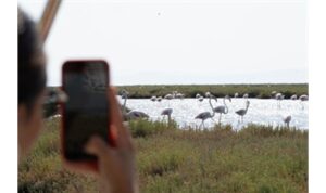 Doğa ve lezzet tutkunları bu turları çok sevecek