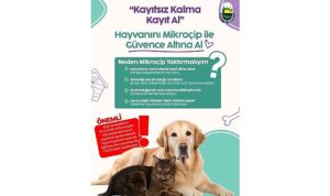 İnegöl Belediyesi’nden Evinde Kedi-Köpek Besleyenlere Mikroçip Uyarısı