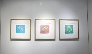 “Işığın İzi” sergisi Nilüfer’de