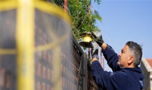 İzmir Büyükşehir Belediyesi’nden karasinekle yoğun mücadele