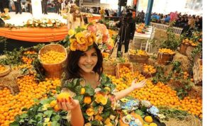 Seferihisar’ın köklü geleneklerinden biri olan Mandalina Şenliği, bu yıl 25’inci kez düzenleniyor.